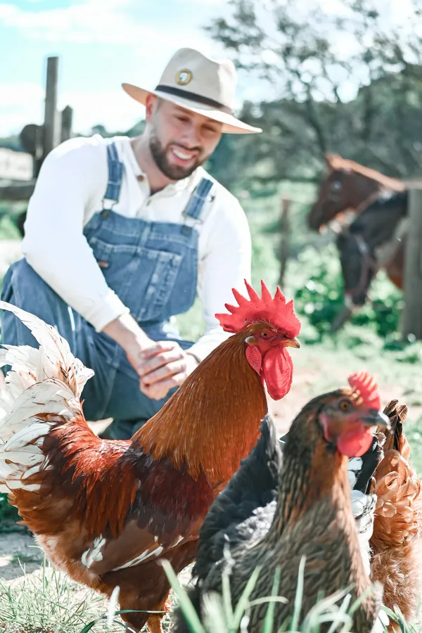 Salut Poulet – photo